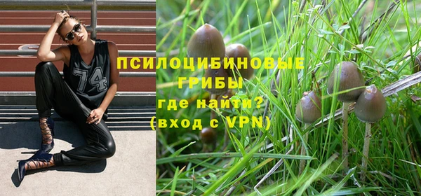 трава Кодинск