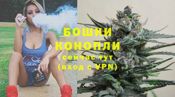 spice Карпинск