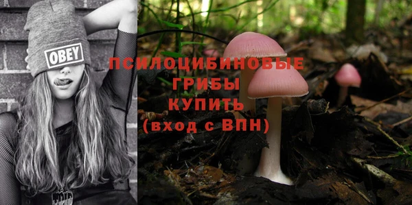 трава Киреевск