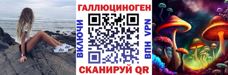 сколько стоит  Кириллов  Галлюциногенные грибы Cubensis 